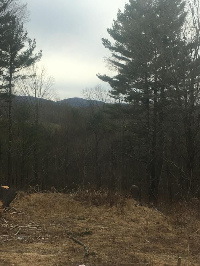Cozy Cabin In The Catskills East Durham Εξωτερικό φωτογραφία
